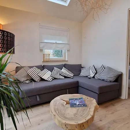 Studio With Bedroom And Living Apartment *