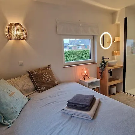 Studio With Bedroom And Living Apartment Croix